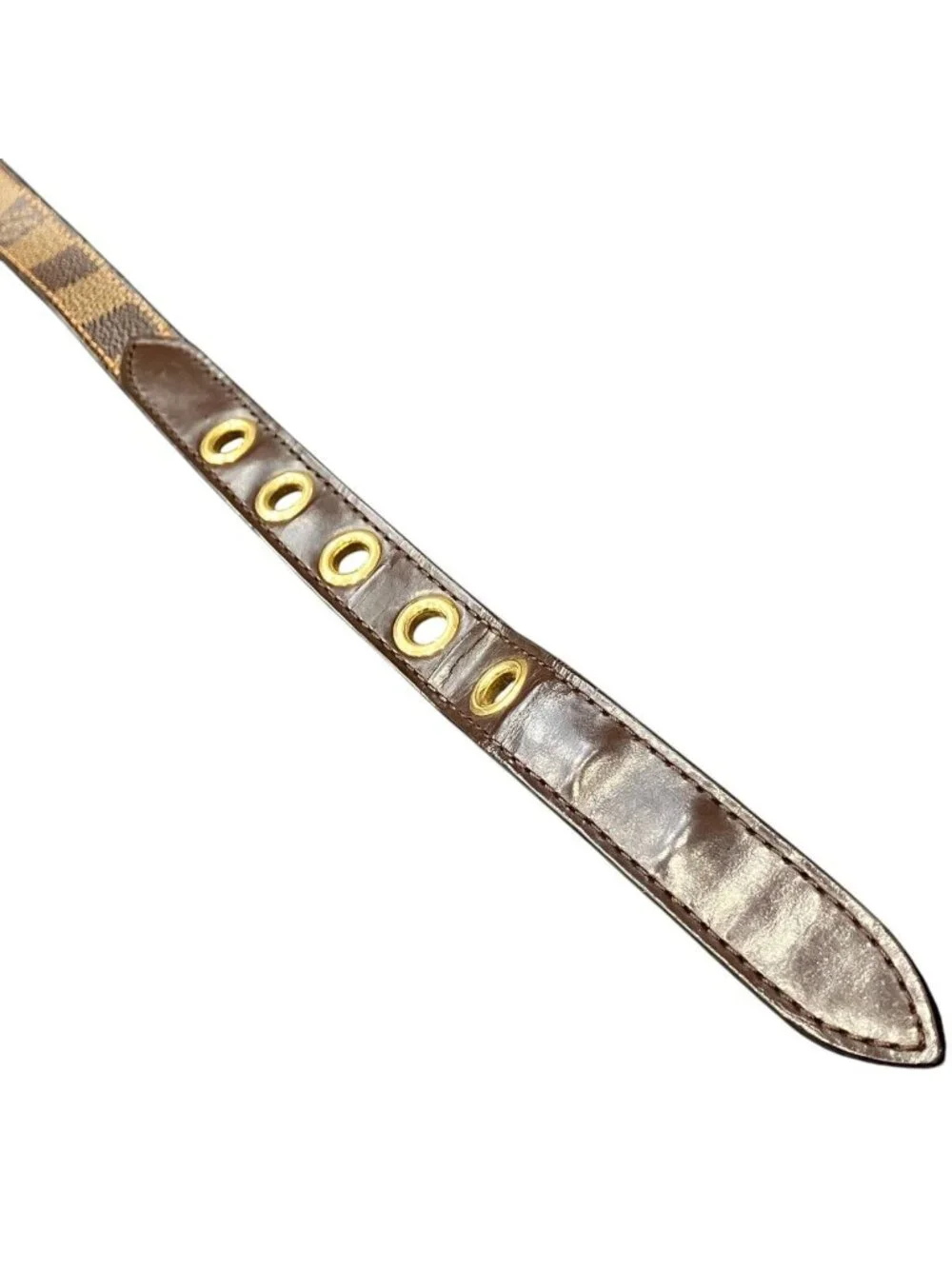 Louis Vuitton brand louis